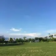 たこすけ