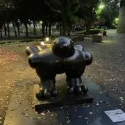 ねーさんの画像