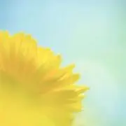もももの画像