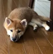 MKN☆
