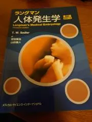 aaaaaの画像