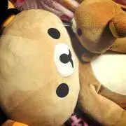 【プロフ見てください】Oの画像