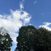 そらの画像