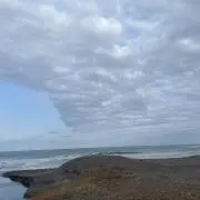 とことんの画像