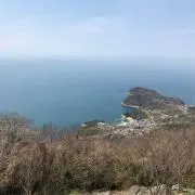 まさまさ1119の画像