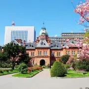 北海道の若くない人ですの画像