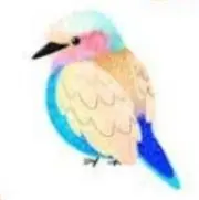 鳥‎ ★の画像