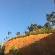 ピンキーの画像