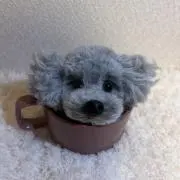 かけちゃまの画像