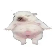う