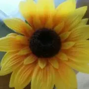 s1001