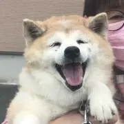 Moka