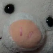 ばちの画像