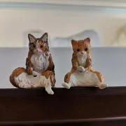 kimiの画像