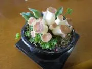 フロッガーの画像