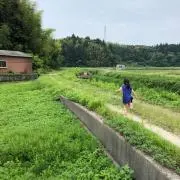 みかんの画像