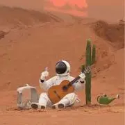 ぽんの画像