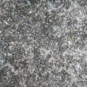 ANIMALの画像