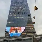 ポプの画像