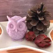 cocoroの画像