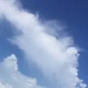 スカイ