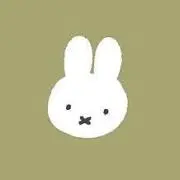 コアラの画像