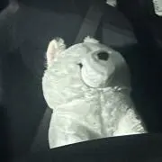 きら
