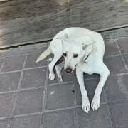 eの画像