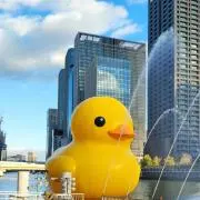 MMの画像
