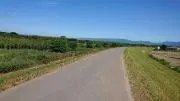 Saudadeの画像