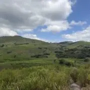NENEの画像