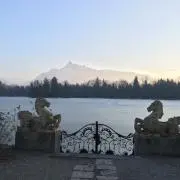リリーの画像