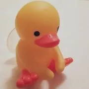ayaの画像