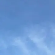 ねねの画像