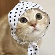 cat1013☆