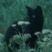 一般通過モブの画像