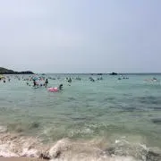 生協のスライスさん