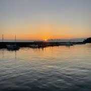 鉈爺(月曜日に発送)の画像