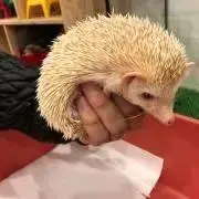 chima.mamaの画像