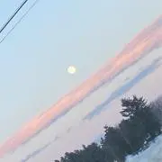 maの画像