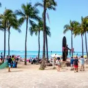 yumaの画像