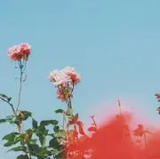 むた▶6/16まで⚠️の画像
