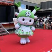 ぞいの画像
