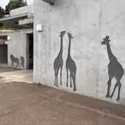 Rieの画像