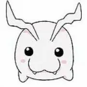momoの画像