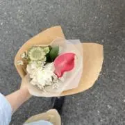 サチの画像