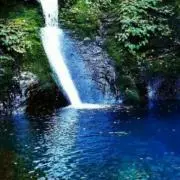れいちゃむの画像