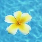 うえっき☆の画像