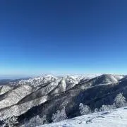 Hiraの画像