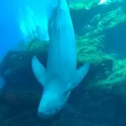 まっつんの画像
